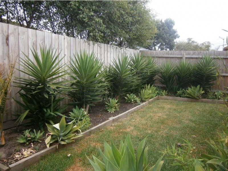 2/93 Allied Drive, Carrum Downs VIC 3201