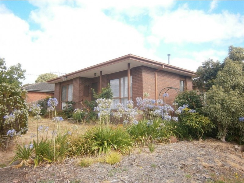 1 Horne Court, Langwarrin VIC 3910