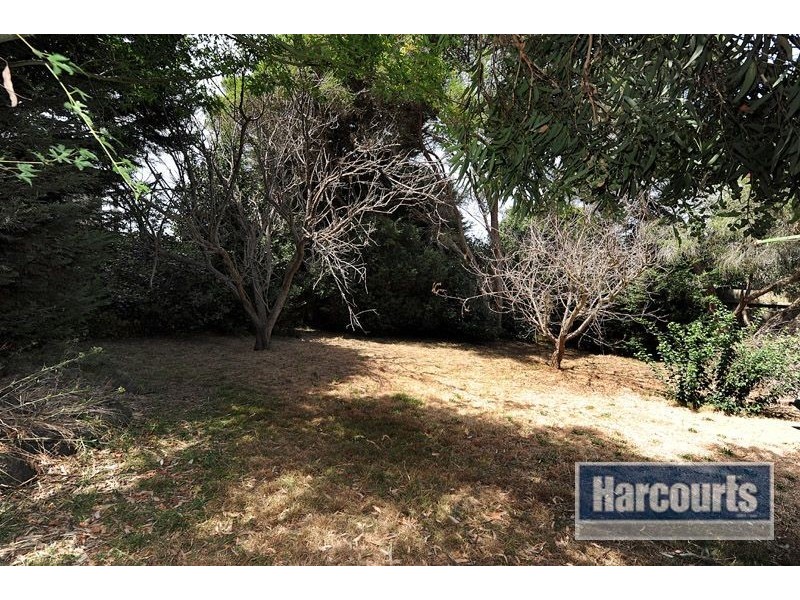 12 Edward Street, Langwarrin VIC 3910
