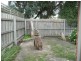 124 North Road, Langwarrin VIC 3910
