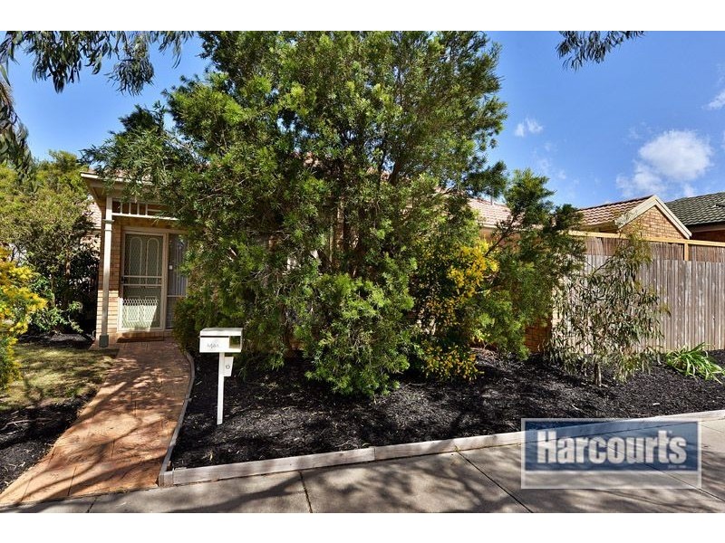 6 Noel Road, Langwarrin VIC 3910