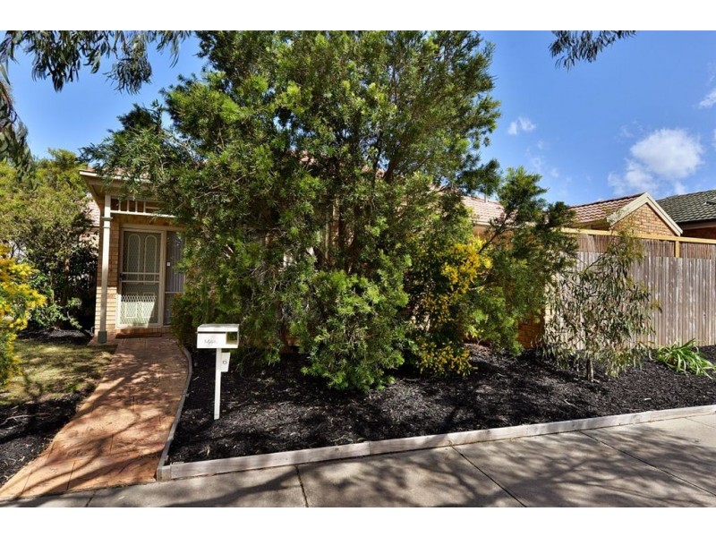 6 Noel Road, Langwarrin VIC 3910
