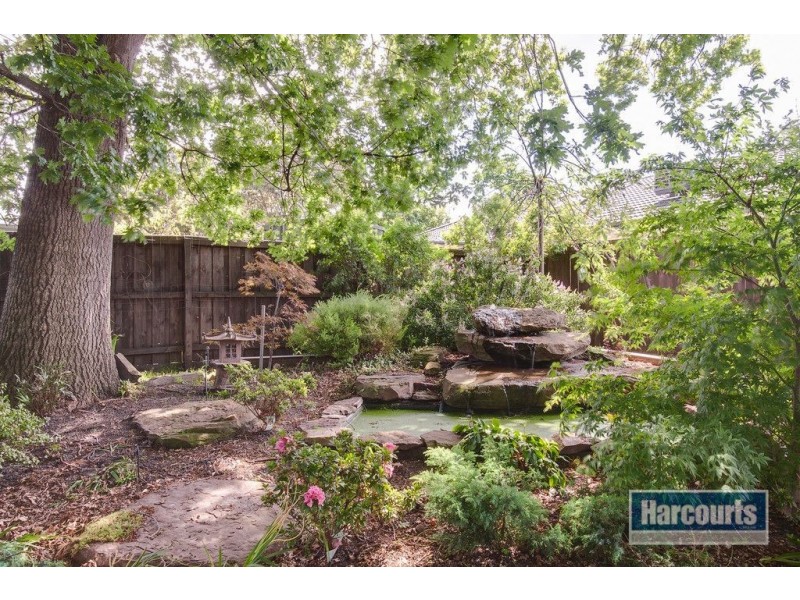 3 Woodrush Drive, Langwarrin VIC 3910