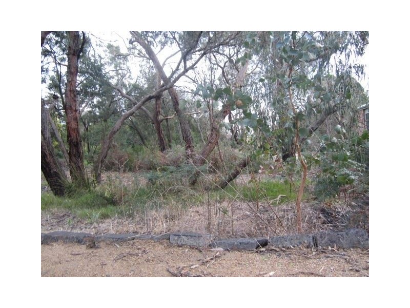 125 McKays Road, Langwarrin VIC 3910