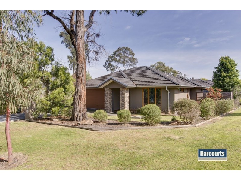 53 Cedar Street, Langwarrin VIC 3910