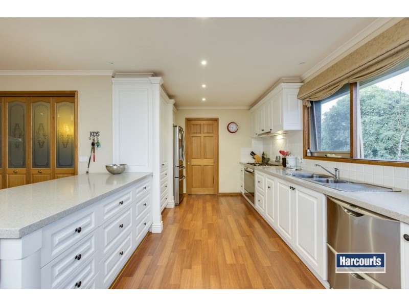 15 Australis Close, Langwarrin VIC 3910