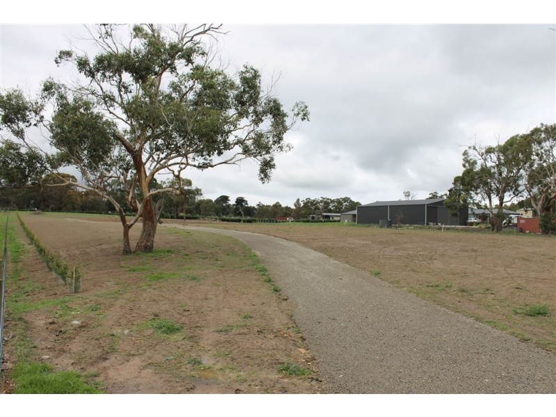 3 Bellary Lane, Langwarrin South VIC 3911