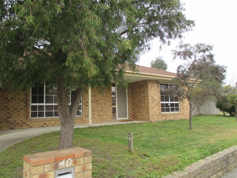 40 Jarman Drive, Langwarrin VIC 3910