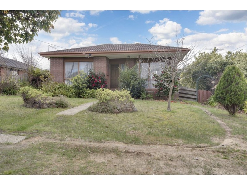 1 Horne Court, Langwarrin VIC 3910