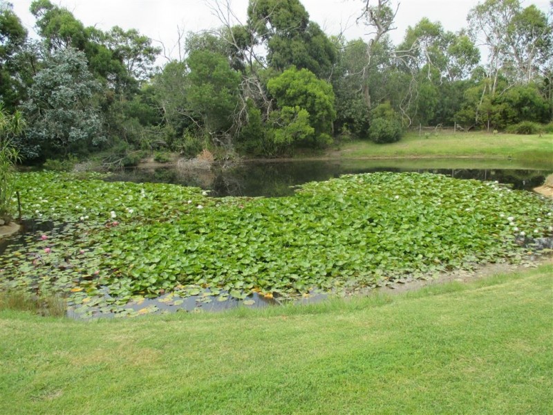 69 West Road, Langwarrin VIC 3910