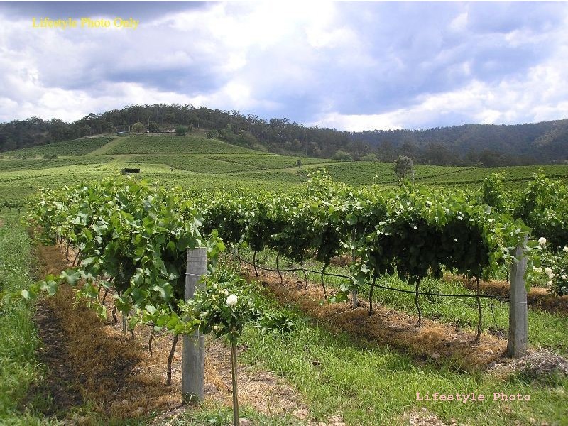 1&3/667 Esplanade, Mornington VIC 3931