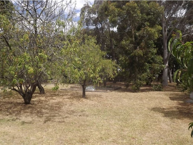 56 Shandon Street, Mornington VIC 3931