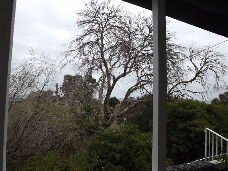 8 Byron street, Mount Martha VIC 3934