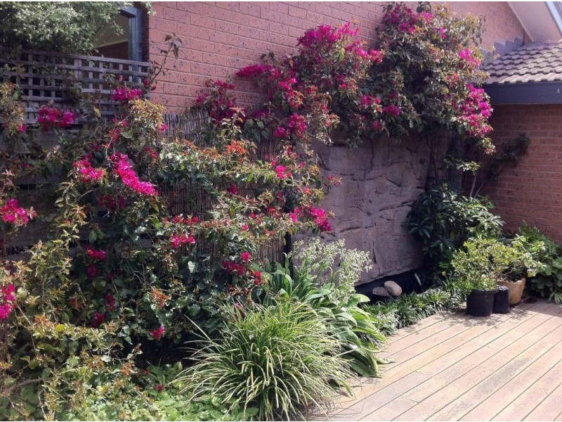 5/9 King George Avenue, Mornington VIC 3931