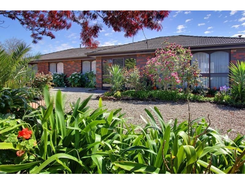 11 Riordan Court, Mornington VIC 3931