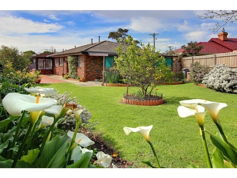 11 Riordan Court, Mornington VIC 3931