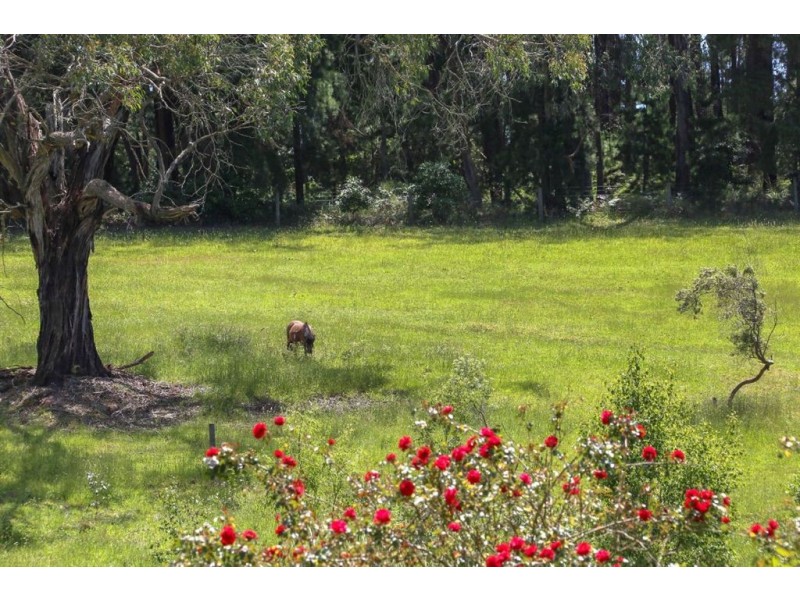 110 William Road, Red Hill VIC 3937