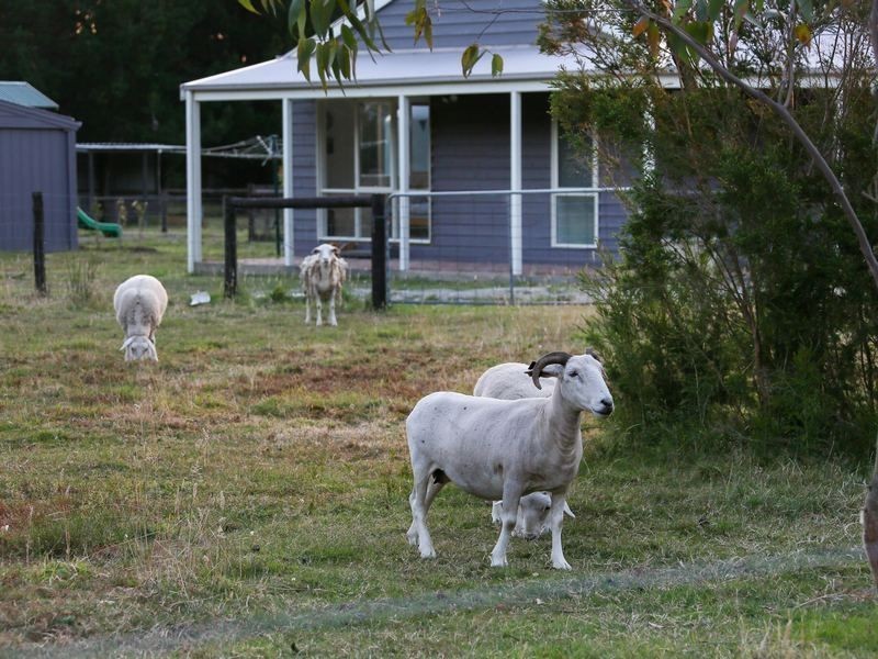 53 Beatty Avenue, Bittern VIC 3918