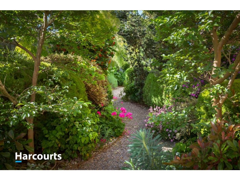 13 Aquarius Court, Mornington VIC 3931