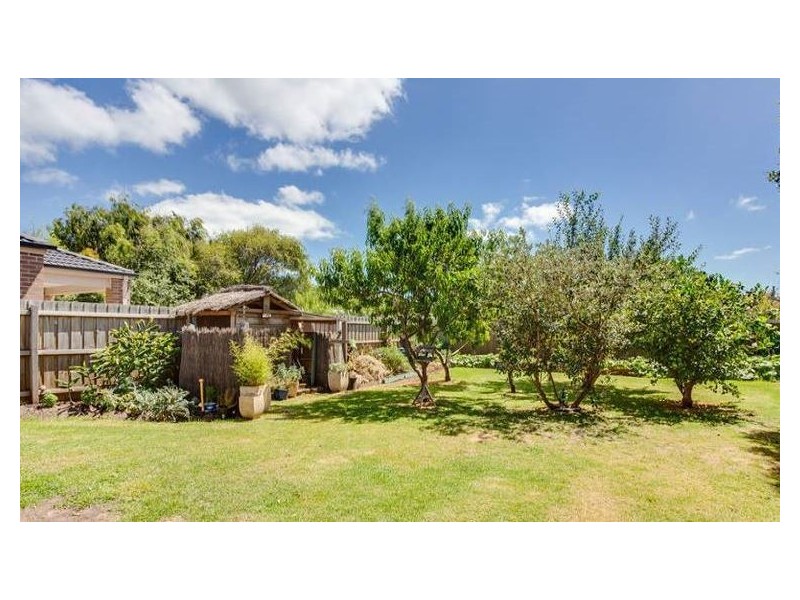 12 Alma Street, Tootgarook VIC 3941