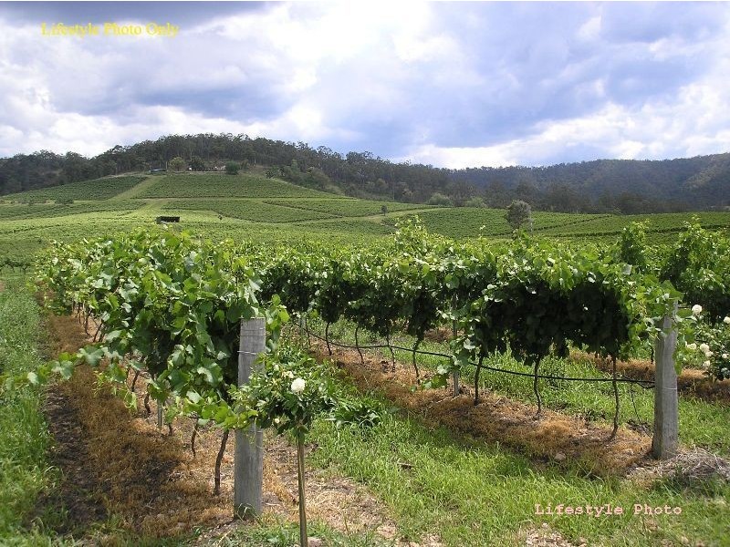 51 Males Road, Moorooduc VIC 3933