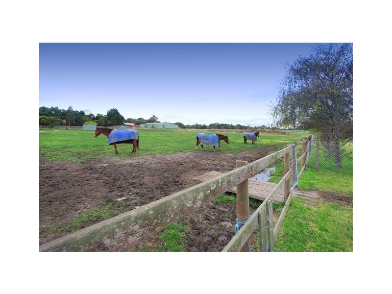 51 Males Road, Moorooduc VIC 3933