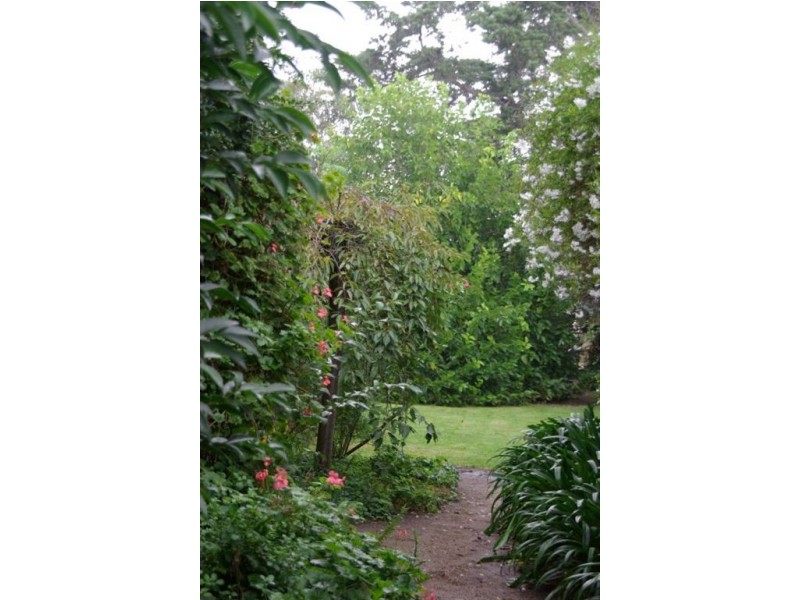 91 Herbert Street, Mornington VIC 3931