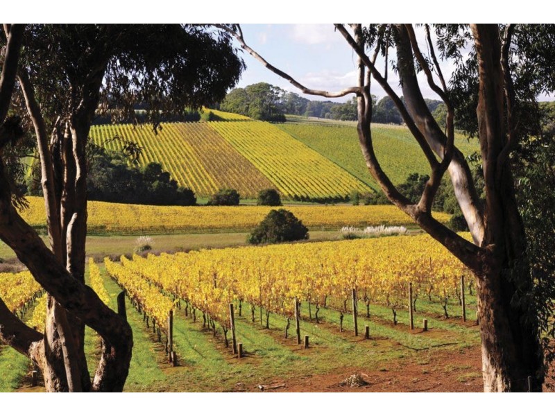 12/17-31 Tanti Avenue, Mornington VIC 3931