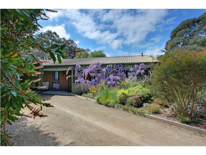 41 Bungower Road, Mornington VIC 3931