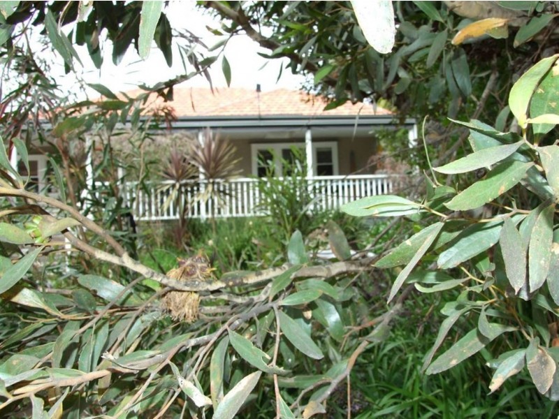 6 Birdwood Avenue, Mornington VIC 3931