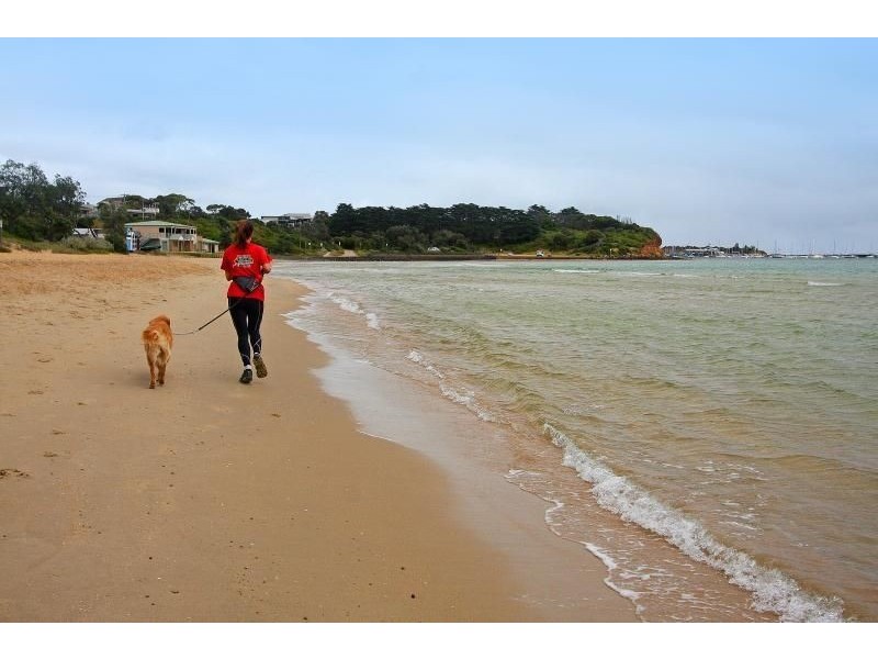 51 Mills Beach Beach Box, Mornington VIC 3931