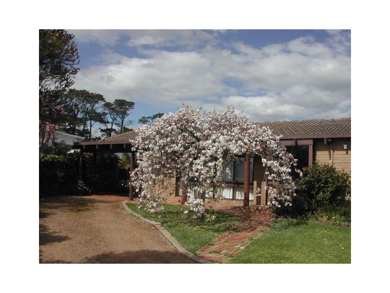 6 Wolfdene Court, Mornington VIC 3931