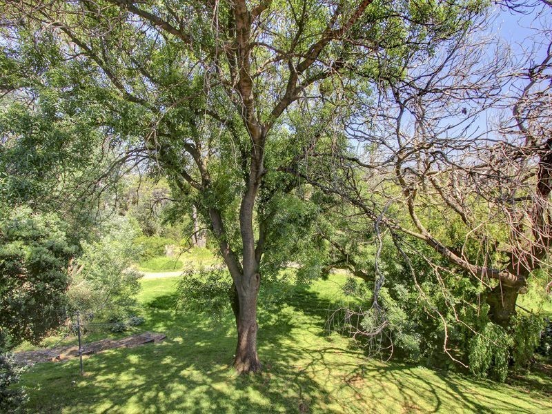 8/388 Nepean Highway, Frankston VIC 3199