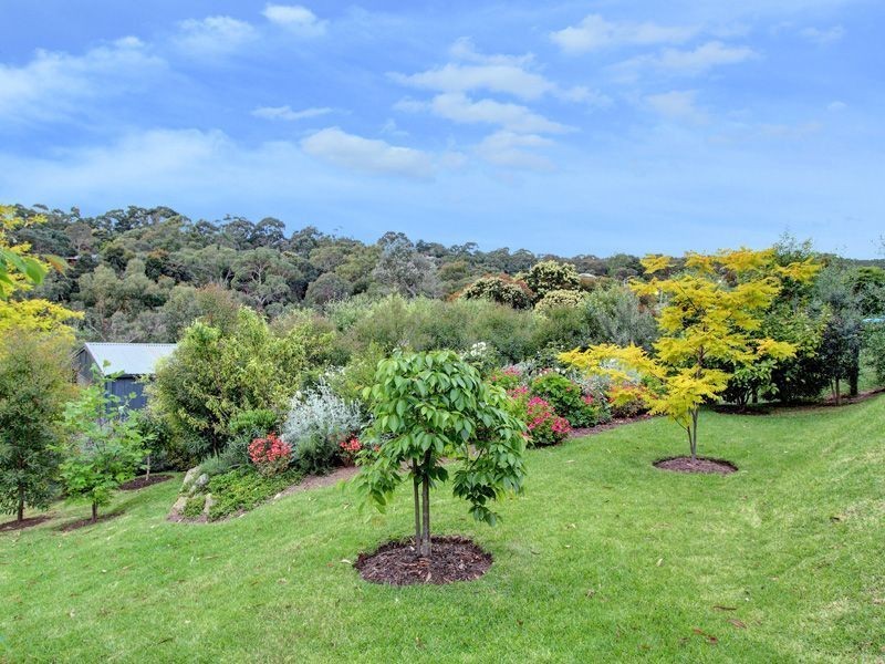 41 Ian Road, Mount Martha VIC 3934