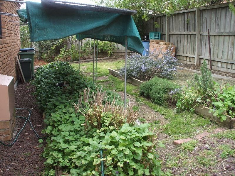 6 OLD MORNINGTON ROAD, Mount Eliza VIC 3930