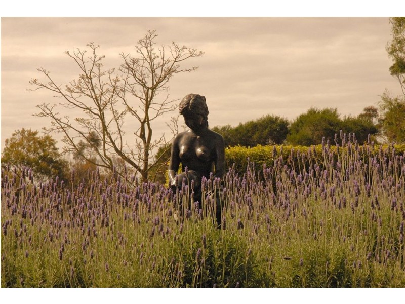 10 Greenslade Court, Mount Martha VIC 3934