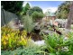 5 Williams Road, Mount Eliza VIC 3930