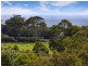 50 Volitans Avenue, Mount Eliza VIC 3930