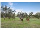 Lot 1 Old Dry Creek Road, Bonnie Doon VIC 3720