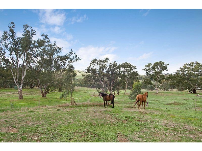 Lot 1 Old Dry Creek Road, Bonnie Doon VIC 3720