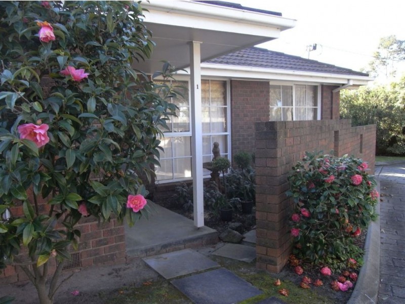 1/8 Roy Crt, Mount Eliza VIC 3930