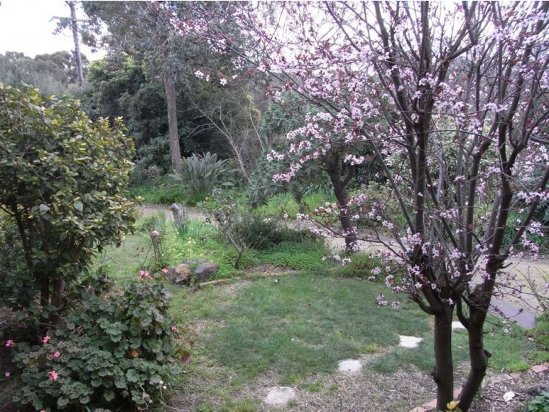 119 Rutland Avenue, Mount Eliza VIC 3930