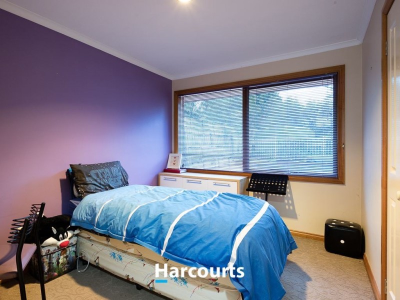 17 Baringa Park Drive, Narre Warren South VIC 3805