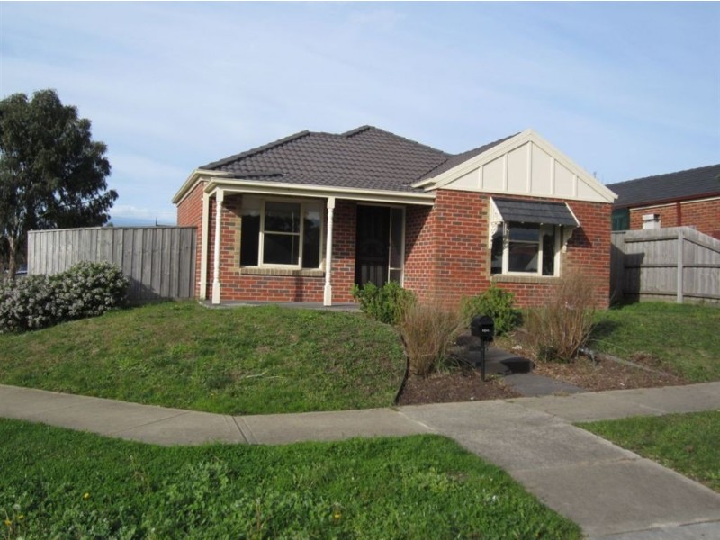 38 Raffindale Crescent, Cranbourne VIC 3977