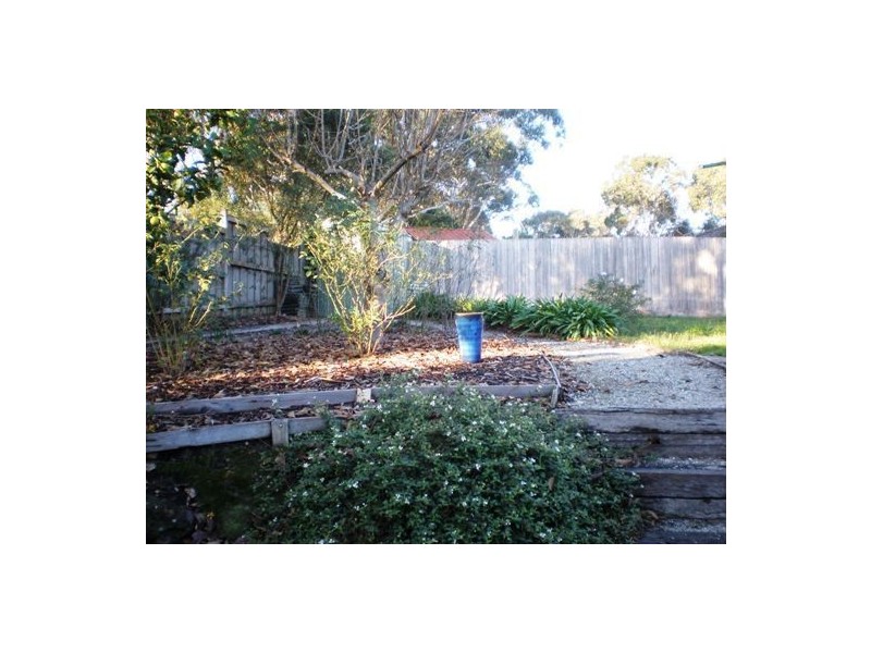 20 Sunnyside Drive, Berwick VIC 3806