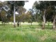 33 Ogle Way, Cranbourne North VIC 3977