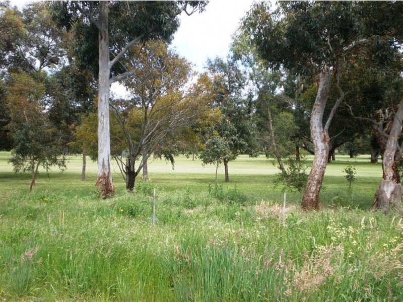 33 Ogle Way, Cranbourne North VIC 3977