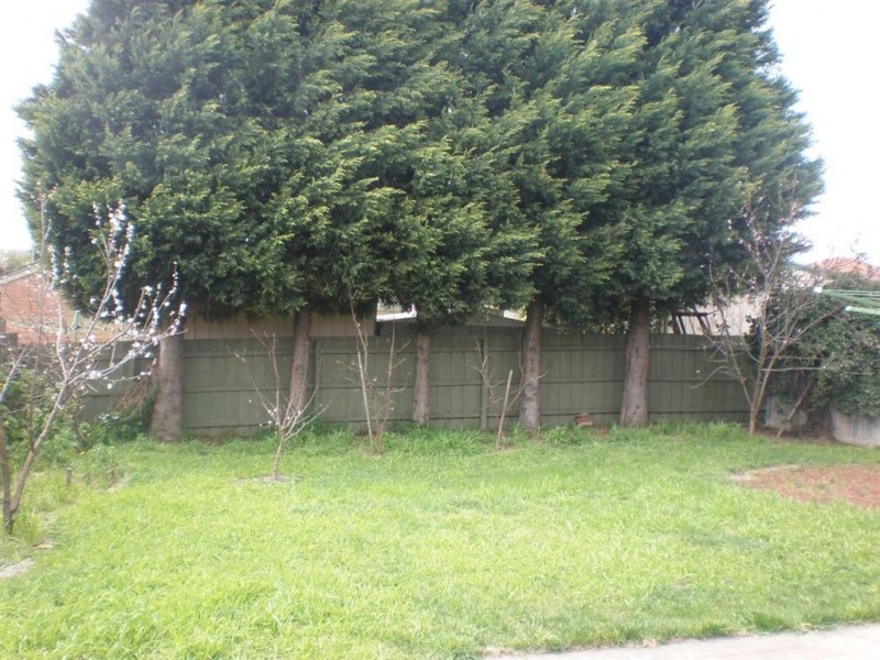 77 Elstar road, Narre Warren VIC 3805