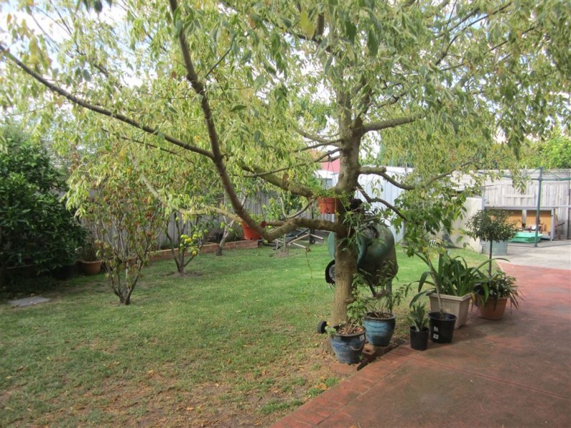 39 Tangerine Drive, Narre Warren South VIC 3805