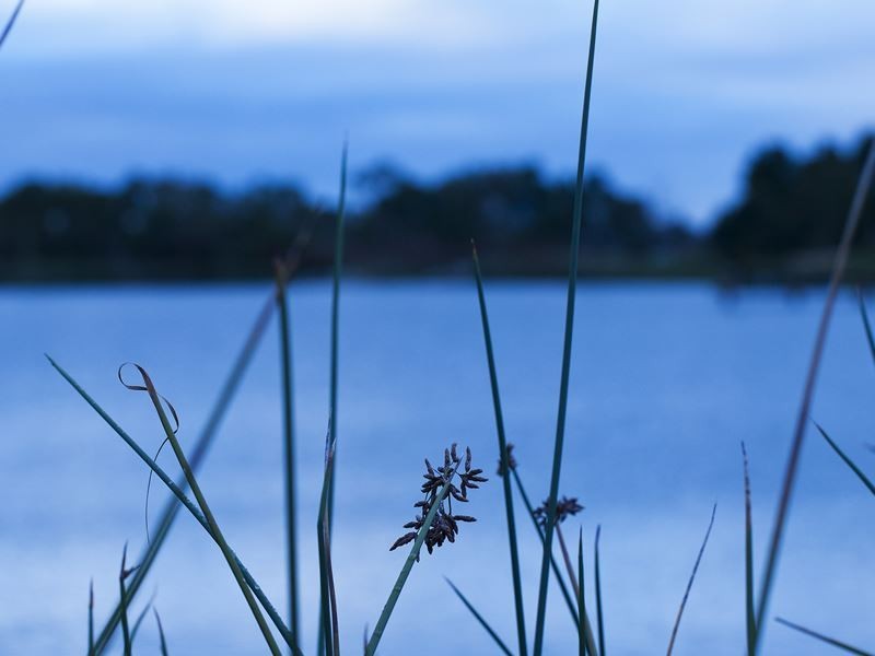 11 Leyland Drive, Narre Warren South VIC 3805